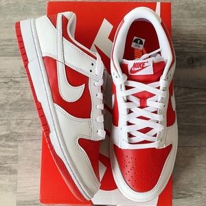 Brand new men size 9 Nike Dunk